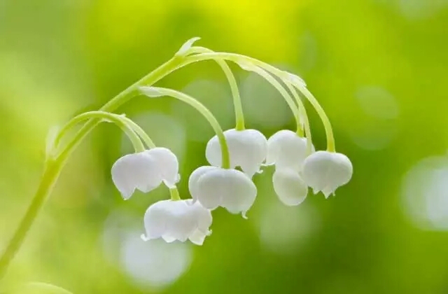 ѧ�˻�����Щ�����ѧ�����أ�