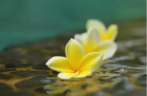 ���Լ���Ϊһ�����׿���֮��