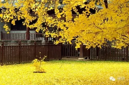 ��֤���衷������й�֮��ϵ