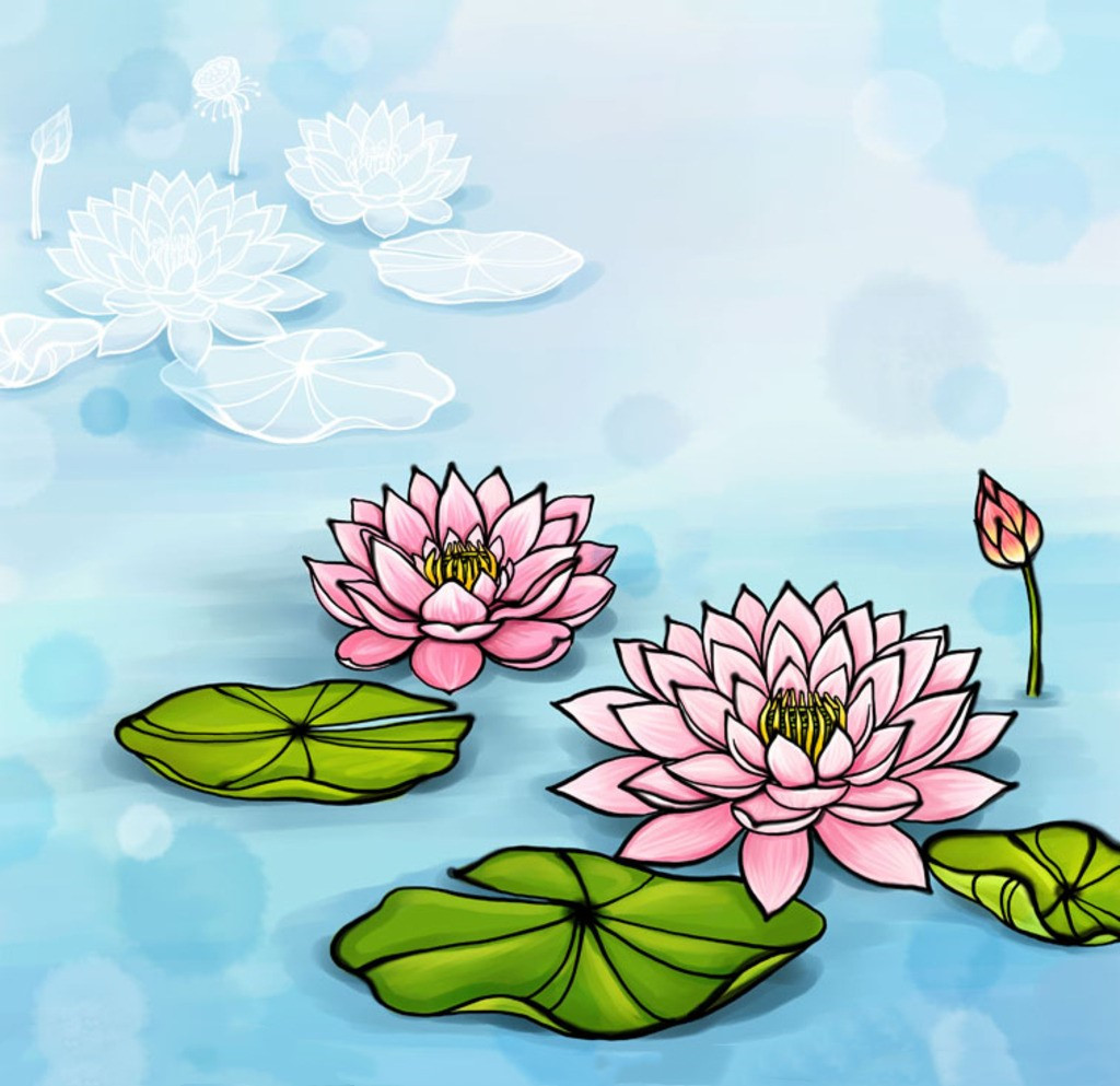 ������������ ��