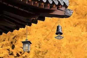 ��024�� �������ԣ�һ�� ������ʦ